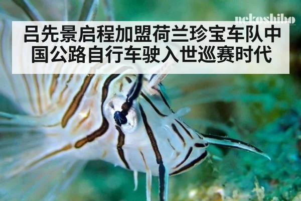 吕先景启程加盟荷兰珍宝车队中国公路自行车驶入世巡赛时代