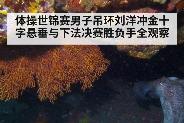 体操世锦赛男子吊环刘洋冲金十字悬垂与下法决赛胜负手全观察